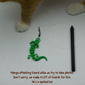 May include: A green lizard toy attached to a string, being played with by a cat. The cat is orange and white and is looking at the toy. The text "Mango attacking lizard while we try to take photos. Don't worry, we made A LOT of lizards for him. He's a spoiled boi" is visible at the bottom of the image.