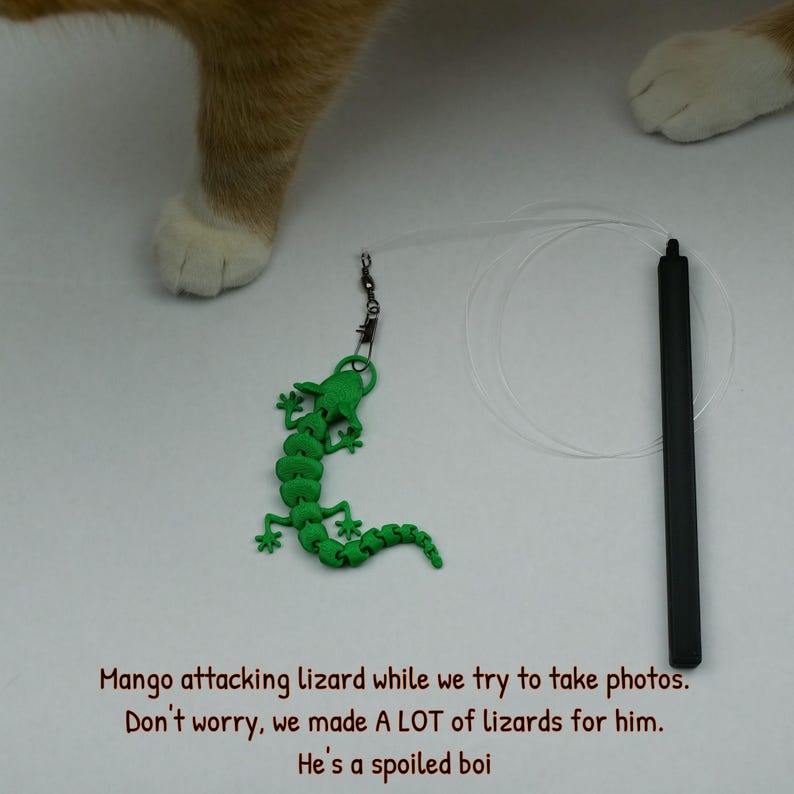 May include: A green lizard toy attached to a string, being played with by a cat. The cat is orange and white and is looking at the toy. The text "Mango attacking lizard while we try to take photos. Don't worry, we made A LOT of lizards for him. He's a spoiled boi" is visible at the bottom of the image.