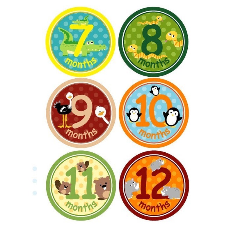 baby monthly shirt stickers zoo animals unisex for boys