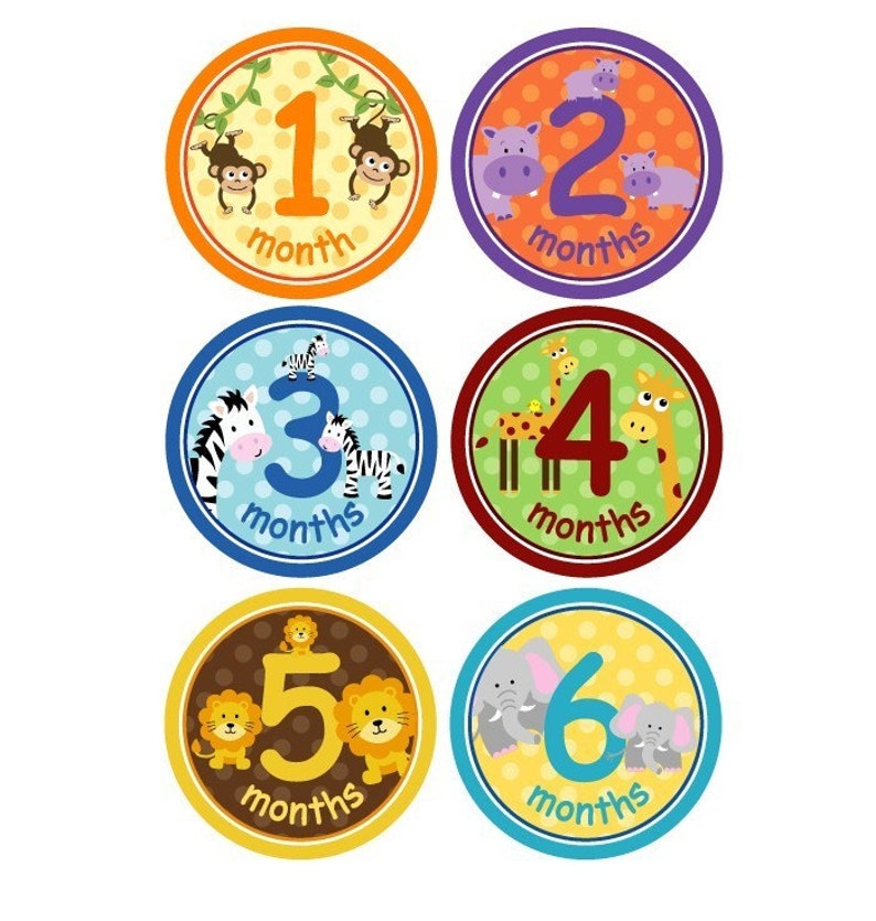 baby monthly shirt stickers zoo animals unisex for boys