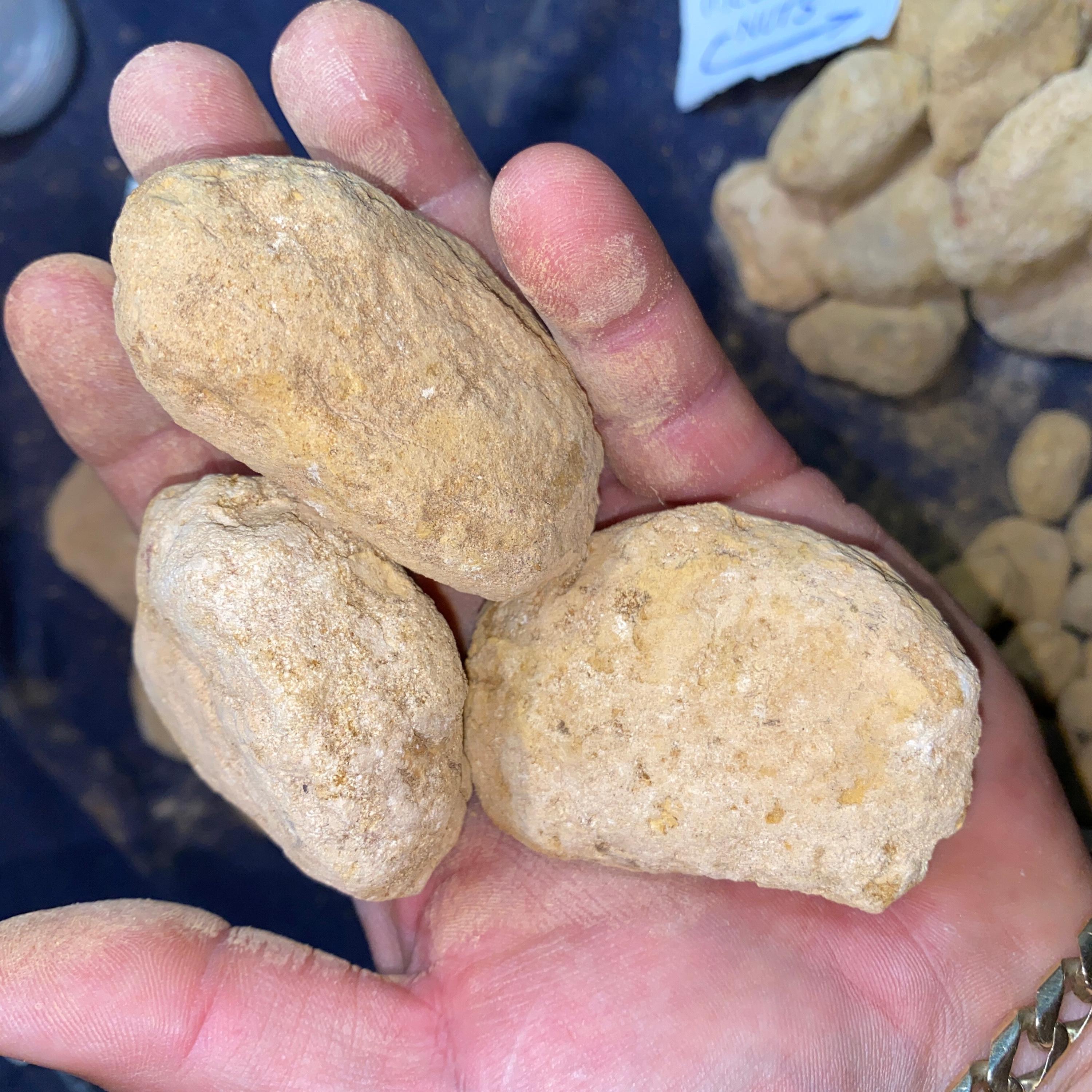 Opale Yowah Boulder Naturelle Australie – 35 Carats, Solide, Multicolore, NEUVE Avec étiquettes