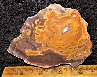 Dryhead Agate geode half