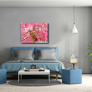 Puede incluir: Un lienzo de arte de pared con estampado floral rosa y blanco que presenta un mono sentado en un &aacute;rbol. El lienzo mide 76x102 cm.