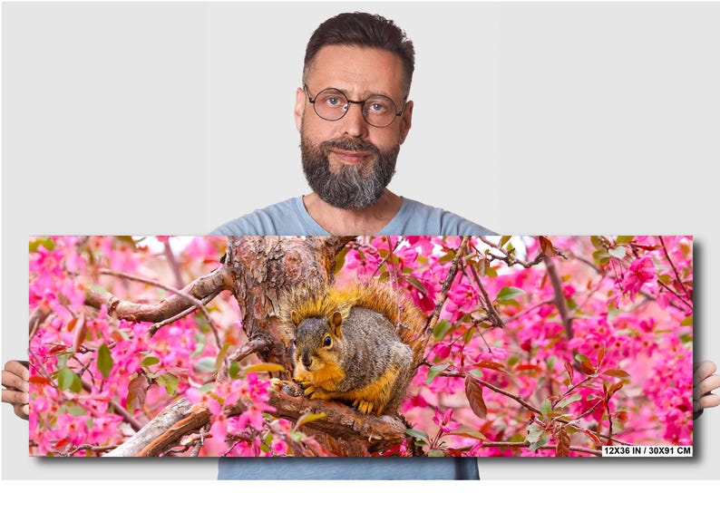 Puede incluir: Primer plano de una ardilla sentada en una rama de &aacute;rbol con flores rosas. La ardilla es marr&oacute;n y gris con una cola tupida. La rama del &aacute;rbol est&aacute; cubierta de flores rosas.