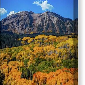 Kebler Pass Fall Wall Art, Crested Butte wall Art, Colorado Fall Wall Art,  Colorado Wall Art, Colorado Housewarming Gift