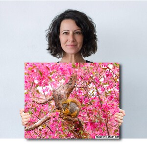 Puede incluir: Primer plano de una ardilla posada en una rama de un &aacute;rbol con flores rosas. La ardilla est&aacute; mirando a la c&aacute;mara y tiene la cola enroscada alrededor de su cuerpo. El &aacute;rbol est&aacute; en plena floraci&oacute;n y las flores rosas est&aacute;n enfocadas.