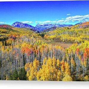 Kebler Pass Fall Wall Art, Crested Butte wall Art, Colorado Fall Wall Art,  Colorado Wall Art, Colorado Housewarming Gift