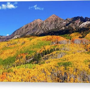Kebler Pass Fall Wall Art, Crested Butte wall Art, Colorado Fall Wall Art,  Colorado Wall Art, Colorado Housewarming Gift