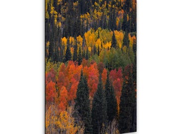 May include: A vibrant landscape photograph showcasing a forest in autumn. The image features layers of trees with foliage in shades of yellow, orange, red, green, and dark green. The composition highlights the diverse colors of the season.