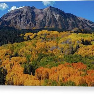 Kebler Pass Fall Wall Art, Crested Butte wall Art, Colorado Fall Wall Art,  Colorado Wall Art, Colorado Housewarming Gift