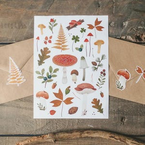 Mushroom and Berry Sticker Sheet, Botanical Forest Stickers, Nature Vinyl Decals, Scrapbooking and Journal Decoration Stickers