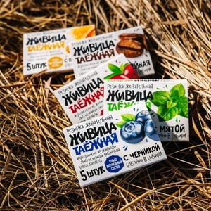 10 x Goma de mascar siberiana natural – Resina de lariço e pinheiro, sabores variados