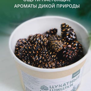 Op de afbeelding: Een papieren bakje gevuld met donkerbruine dennenappels. De bak heeft een label met Russische tekst en een bosafbeelding. De achtergrond is een vage groene en witte kleur.