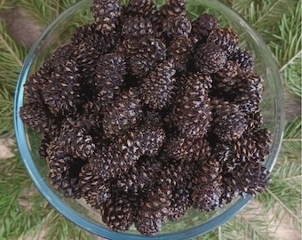 Piñas confitadas Alatau, un dulce siberiano, 1 kg (2,20 lb)