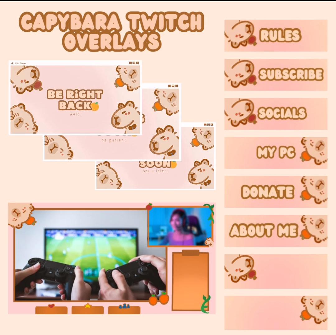 Capybara Overlay Pack / Capybara / Cute / Twitch Overlay for Streaming / Rosita