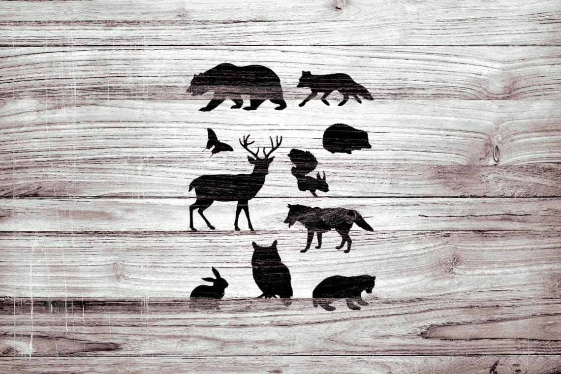 Plantilla De Animales Salvajes: Oso, Búho, Zorro, Varios Tamaños. ENVÍO RÁPIDO Y GRATUITO (609) - España