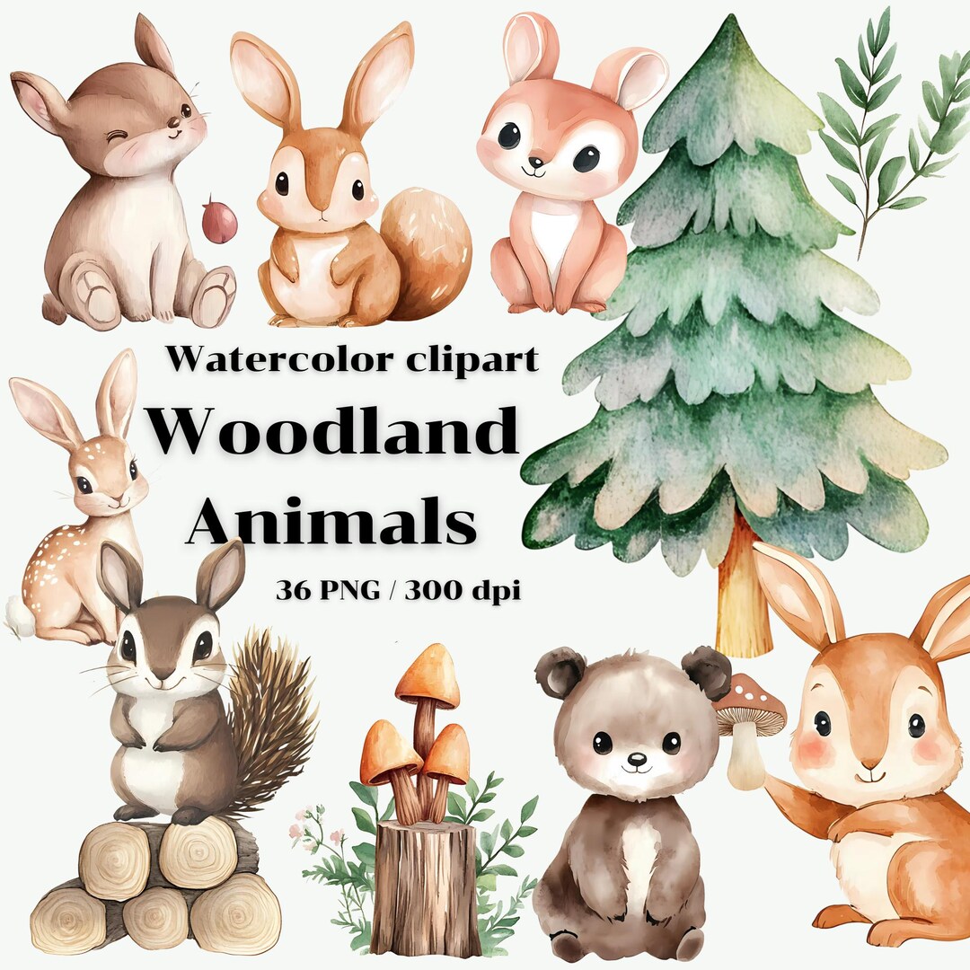 Woodland Animals Watercolor Clipart | Forest Friends Collection | 300 ...