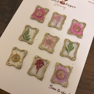 Pegatinas con sello de cera: flores secas enmarcadas