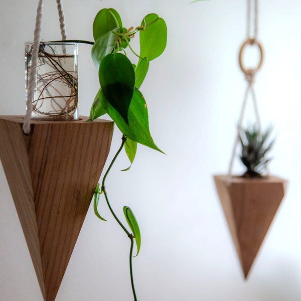 Versatile Wood Hanging Planter - 3 Sizes, Wall Hook Option, 3 Finishes, Plant & Propagation Vase, Customizable Indoor Garden