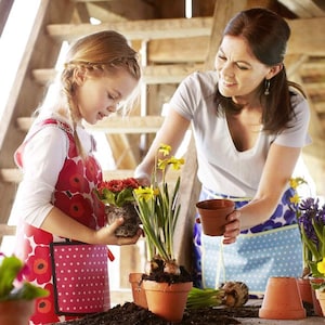 May include: A young girl and an adult woman are gardening together. They are potting plants in terracotta pots. The girl is wearing a red and white polka dot apron. The woman is wearing a blue and white polka dot apron. The plants are in various stages of growth, with some having flowers and others just starting to sprout.