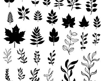 Botanical Leaves Svg Bundle, Botanical Leaves Clipart For Cricut, Leaves Silhouette, Leaves Vector, Hand drawn Designs, Leaves Cut Files.