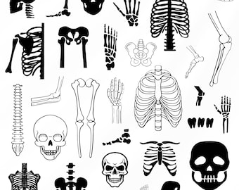 Human Skeleton Bones Svg Bundle, Human Bones Clipart For Cricut, Human Skeleton Silhouette,  Spine Decal , Bones Cut Files.