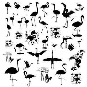 Flamingo Svg Bundle, Flamingo Clipart For Cricut, Cute Flamingo Silhouette, Bird Vector, Flamingo Decal, Flamingo Cut Files.