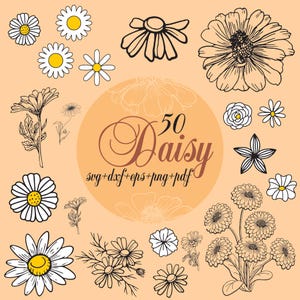 Daisy Svg Bundle , Daisy Clipart For Cricut, Flower Silhouette, Wild Flower Vector, Simple Daisy Decal, Daisy Cut Files.