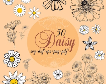 Paquete Daisy Svg, imágenes prediseñadas de Daisy para Cricut, silueta de flores, vector de flores silvestres, calcomanía de margarita simple, archivos de corte de margarita.