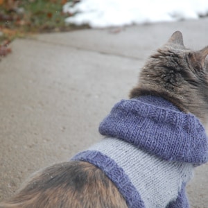 Gebreid patroon kattenhoodie: Making Me Purr