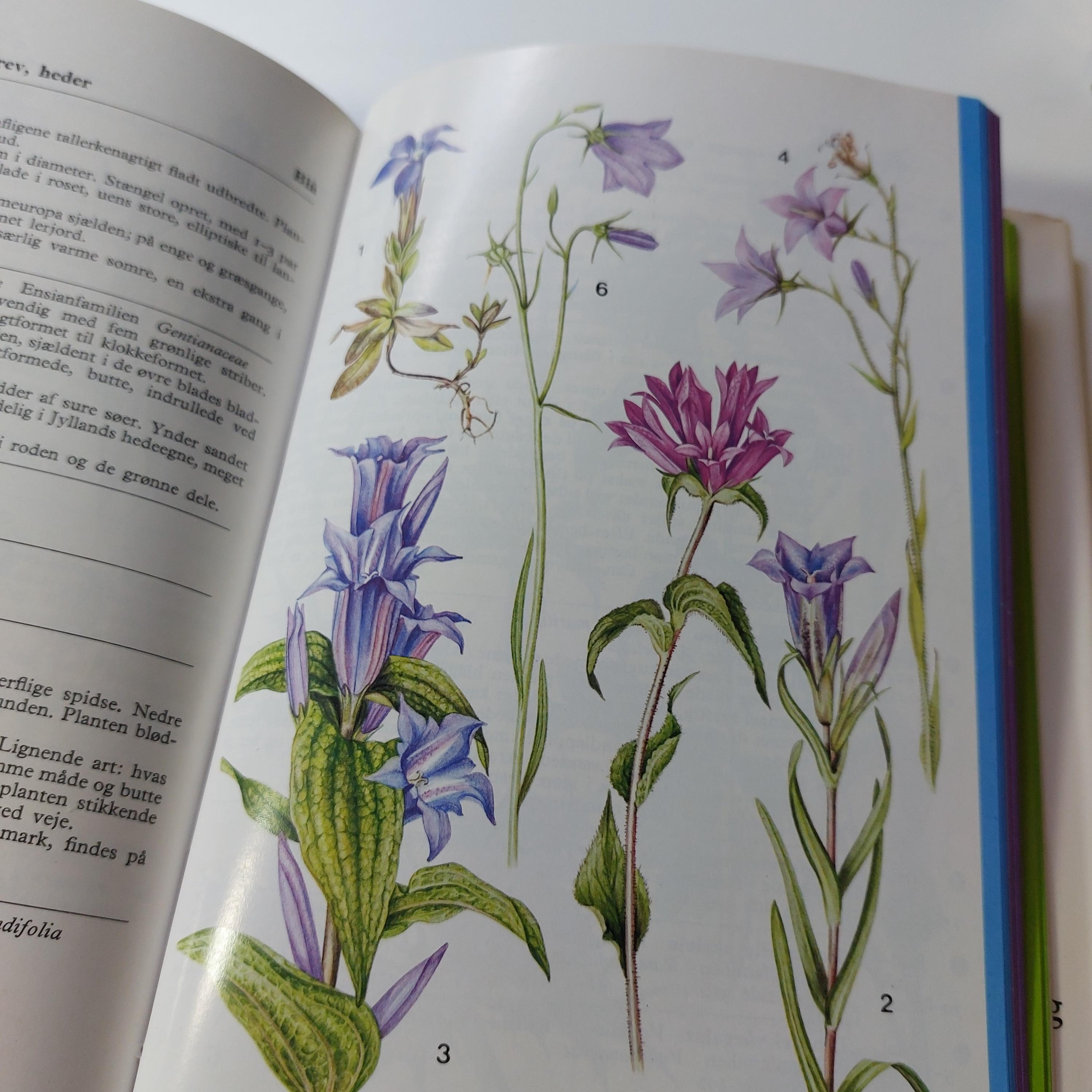 Vintage Danish Flower Book: Farve Flora Nature Guide, 1983 - Etsy