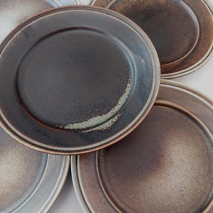 May include: A collection of ceramic plates in various shades of brown and gray. The plates have a textured surface and a slightly raised rim. The color palette ranges from dark brown to light gray, with a hint of blue. The plates are arranged in a slightly overlapping pattern.