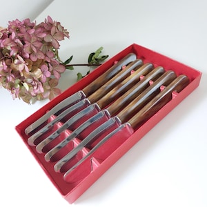 Può includere: Un set di sei coltelli da burro con lame in acciaio inossidabile e manici in legno, presentati in una scatola rossa. I manici hanno una calda tonalità marrone e le lame sono lucide. I coltelli sono disposti ordinatamente all'interno della scatola.