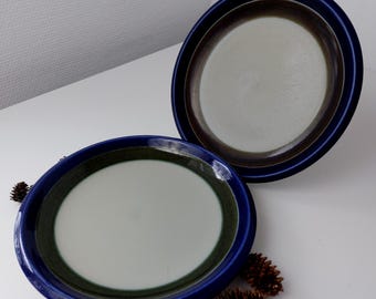 Vintage Rorstrand | Sweden | Elisabeth | Dinner Plate | 24,5cm | Set of 2 | 1960s Design | Marianne Westman | Handpainted | Rørstrand |