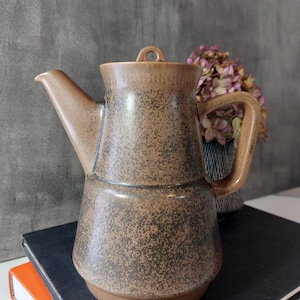 May include: A speckled brown ceramic coffee pot with a spout, handle, and lid. The pot is sitting on a stack of books with an orange cover. A vase of dried flowers is in the background.