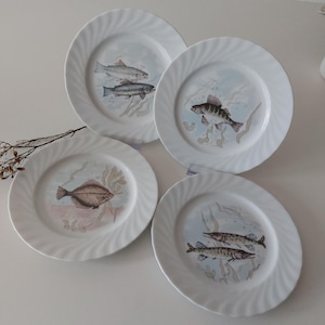 Può includere: Set di quattro piatti in ceramica bianca con un design a spirale blu e bianco. Ogni piatto presenta un'illustrazione di pesce diversa.
