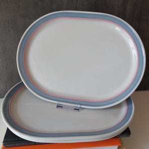 Vintage Norwegian | Figgjo Flint | Gourmet | 80s | BIG Serving Plate | Light Pink And Blue | Scandinavian Vintage | Made in Norway |
