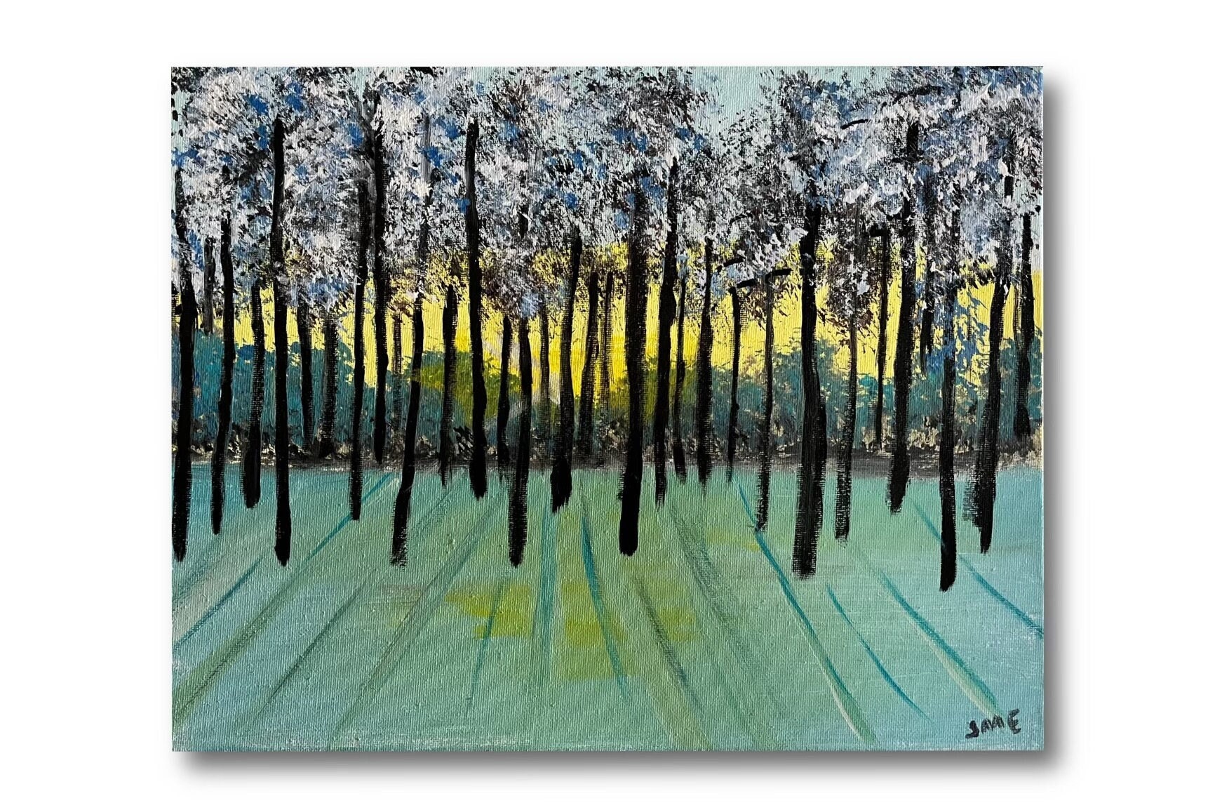 Light Through the Forest