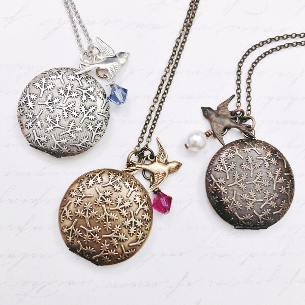 Birthstone Locket Etsy