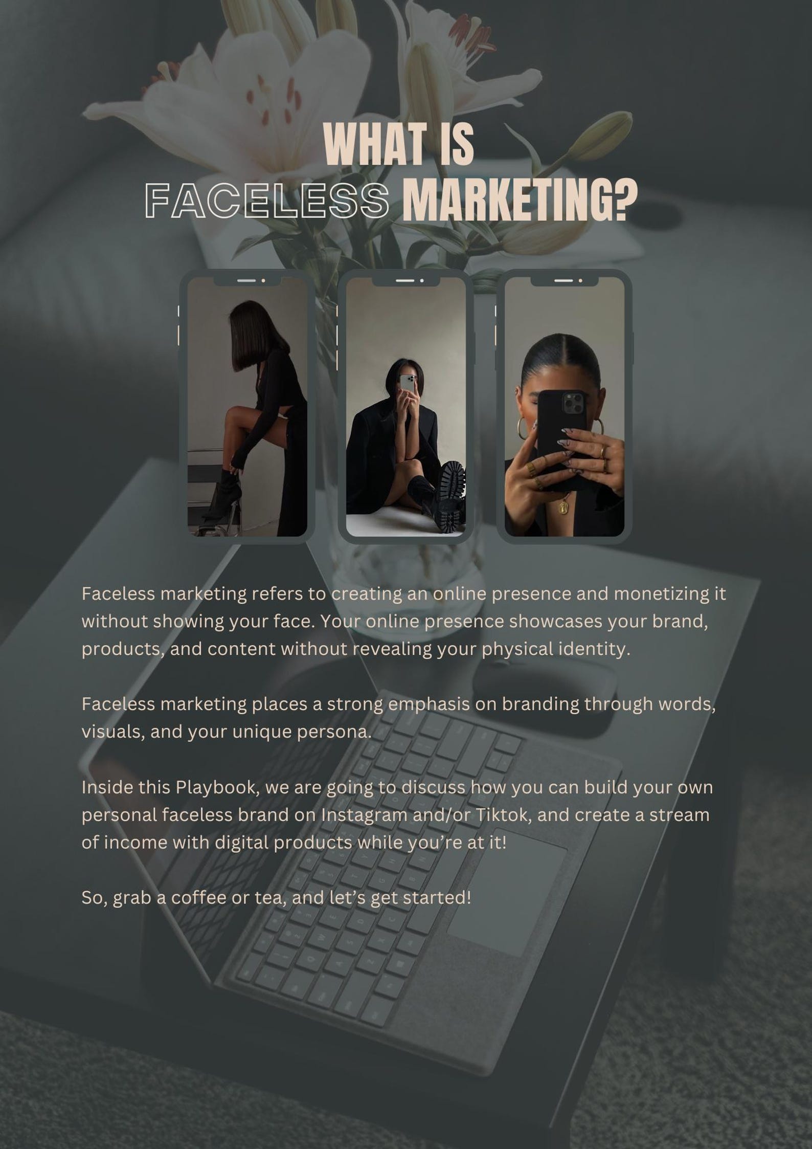 Faceless Digital Marketing Playbook - Blueprint Guide to Launching Your ...