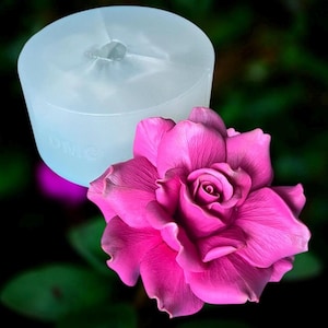 May include: A clear, cylindrical mold with the letters "DMC" imprinted on the side, next to a vibrant pink rose. The rose has multiple layers of petals and is in full bloom, with a dark green background.