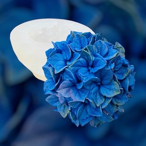 May include: A vibrant blue hydrangea flower with detailed petals, paired with a white, oval-shaped mold. The flower is a striking shade of blue, with subtle variations in tone. The background is a blurred gradient of blue.
