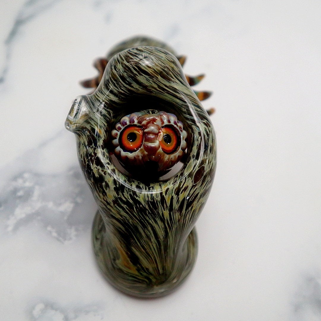 Spotted owl "Peek a who" heady laid back sherlock