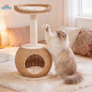 May include: A natural wicker cat tree with a round base and a top perch. The cat tree has a scratching post and a hanging toy. A fluffy cat is reaching for the toy. The cat tree is on a white rug.