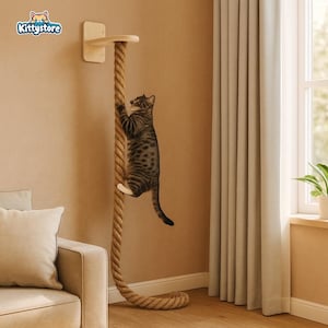May include: A cat climbing a sisal rope cat tree. The cat is brown and black with white paws. The cat tree has a wooden perch at the top and is mounted on a beige wall. The rope is thick and knotted.