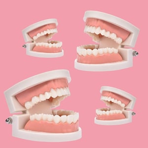Tooth Gem - Tooth Model - Practicing/Displaying Tooth Gems