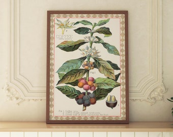 COFFEE BEANS | Coffee Art Print, Coffee Lover Gift, Coffee Bean Illustration, Kitchen Decor, Checkered Art (Unframed)