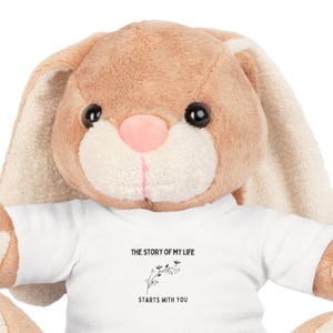 The Story of My Life Starts With You One direction Squeeze Toy Perfect for Cozy Nights and  Inspired Fun Gift for Friends and Collector Bear