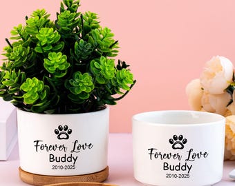 Pet Memorial Succulent Planter Personalized Pet Memorial Loss of Cat Sympathy Gift,Custom Flower Pot,Loss of Pet Memorial Gift for Cat Mom