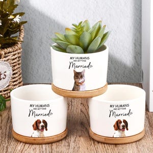 May include: Three white ceramic planters with bamboo saucers. Each planter features a different pet illustration and the text "MY HUMANS ARE GETTING Married". One planter has a cat, and two have dogs. A succulent plant sits in one planter.